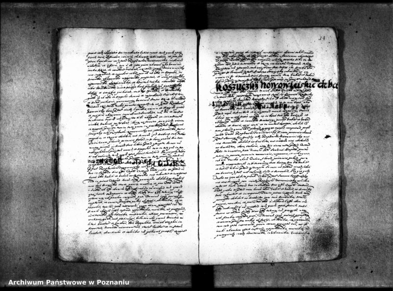 Obraz 19 z jednostki "Inscriptiones [inducta]"