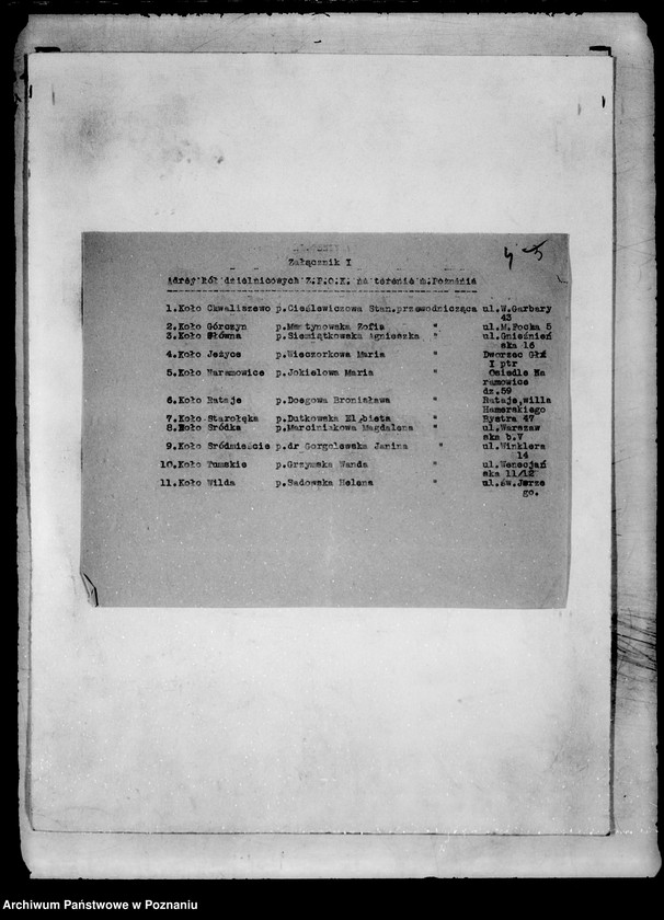 Obraz 8 z jednostki "/Związek Pracy Obywatelskiej Kobiet/"