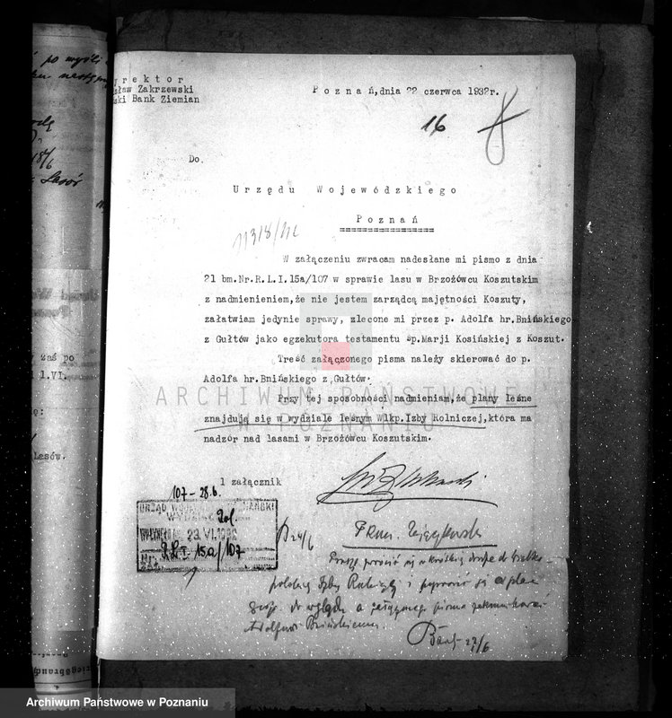 Obraz 20 z jednostki "Nadzór nad gospodarką w lasach majętności Koszuty powiat średzki"