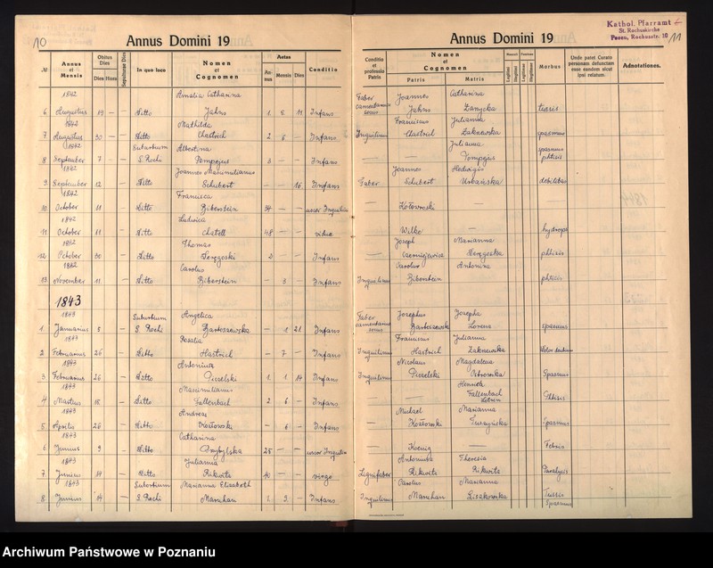 Obraz 8 z jednostki "Duplikat mortuorum"