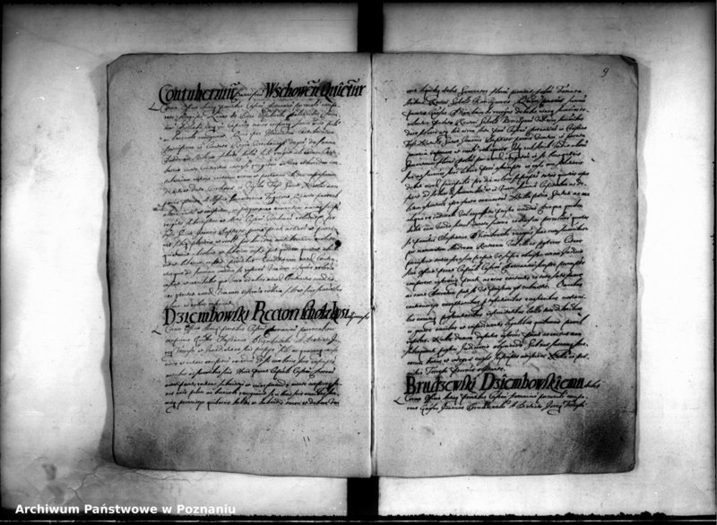 Obraz 11 z jednostki "Inscriptiones [inducta]"