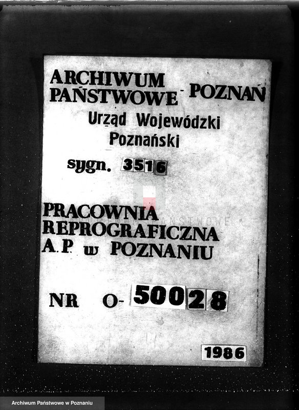 Obraz 1 z jednostki "Las majętność Śniaty powiat kościański"