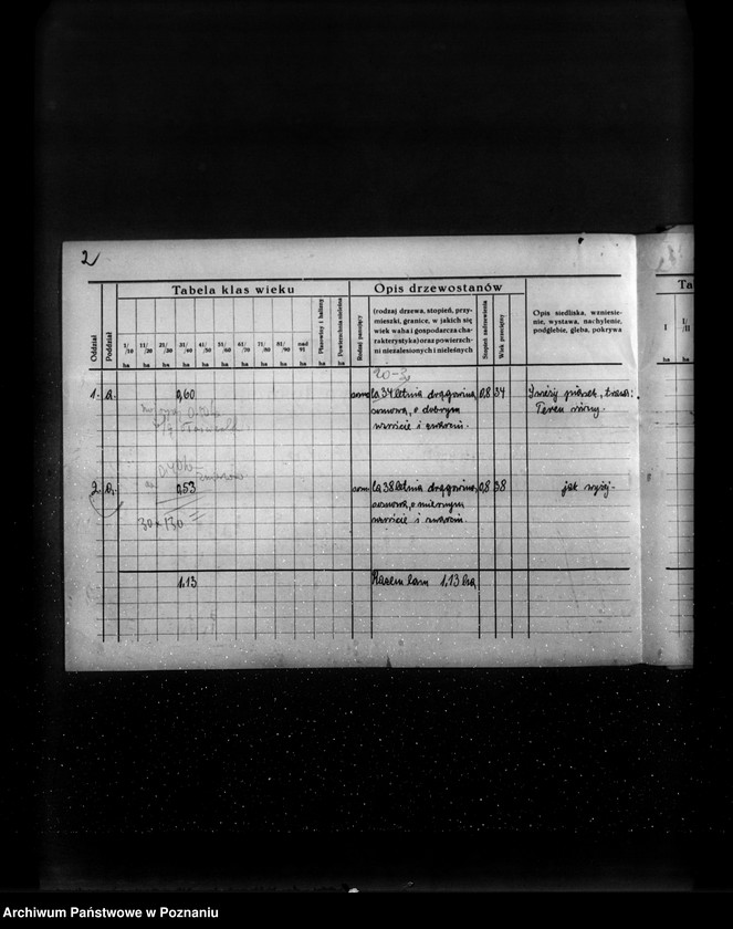 Obraz 6 z jednostki "/Program gospodarstw leśnych znajdujących się na terenie powiatu wolsztyńskiego/"