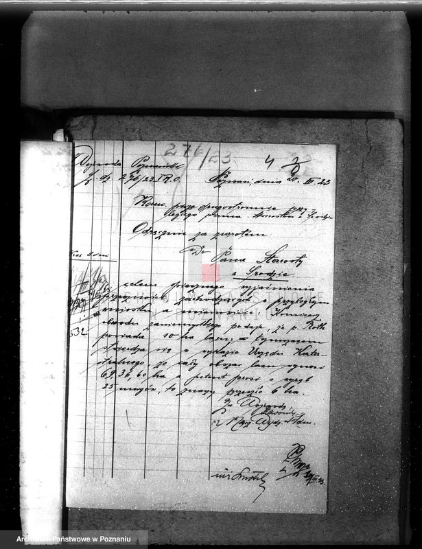 Obraz 8 z jednostki "Nadzór nad gospodarką w lasach majętności Borowo powiat średzki"