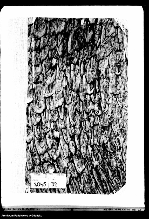 image.from.unit.number "Księga zgonów"