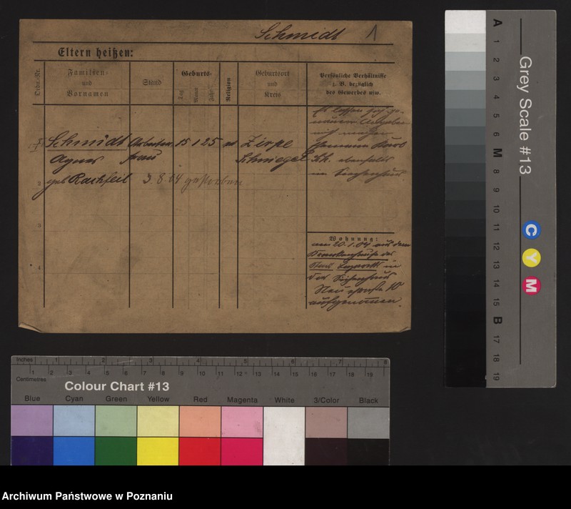 Obraz 6 z jednostki "Szmidt (wdowy i samotni mężczyźni do Iwan)"