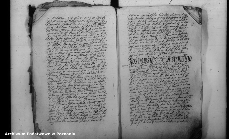 Obraz 12 z jednostki "Inscriptiones [inducta]"