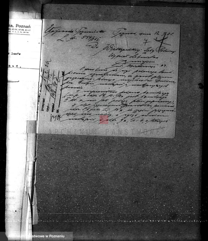 Obraz 11 z jednostki "Nadzór nad gospodarką w lasach majątku Dusina w powiecie gostyńskim"