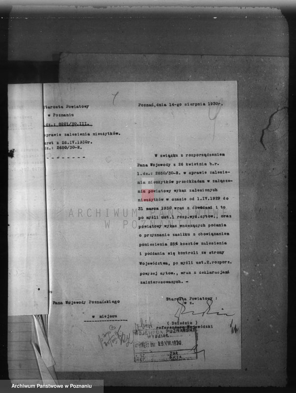 Obraz 8 z jednostki "Zalesienie nieużytków w powiecie poznańskim"