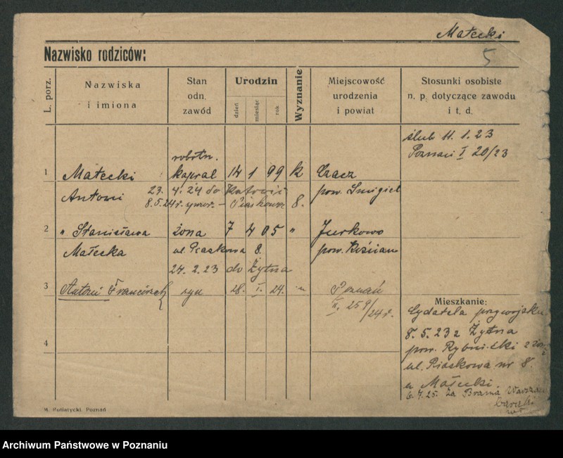 Obraz 7 z jednostki "Matecki - Matews"