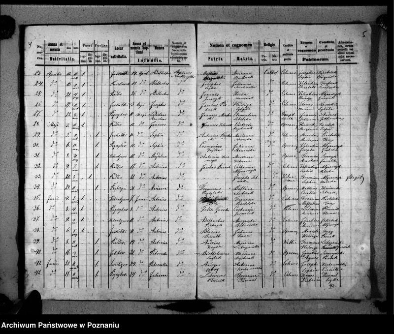 image.from.unit.number "Duplikat urodzonych, zaślubionych, zmarłych"