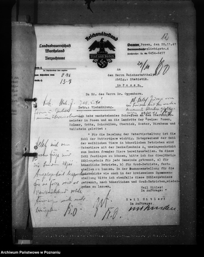 Obraz 16 z jednostki "Zarządzenia i korespondencja w sprawie sporządzenia spisu bydła"