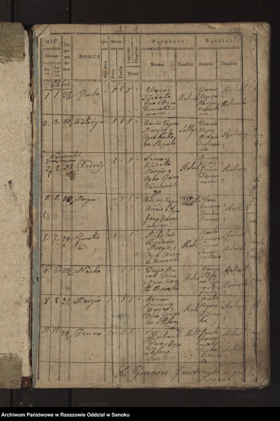 image.from.unit "Księga urodzeń dla miejscowości Lipowiec"