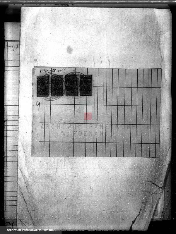 Obraz 8 z jednostki "Majętność leśna Sokołowice powiat kościański"