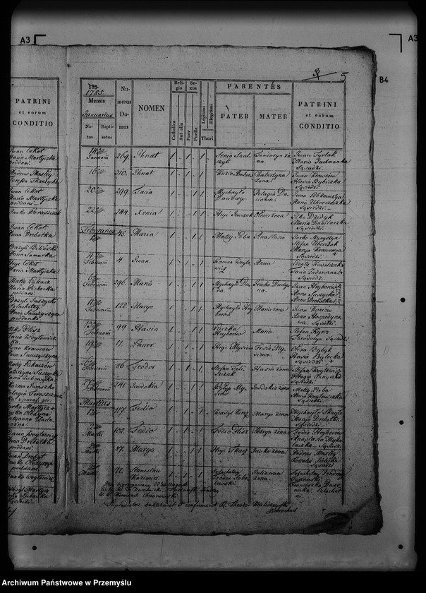 Obraz 9 z jednostki "[Kopie ksiąg metrykalnych parafii Turze (dekanat Rozłucz)]"