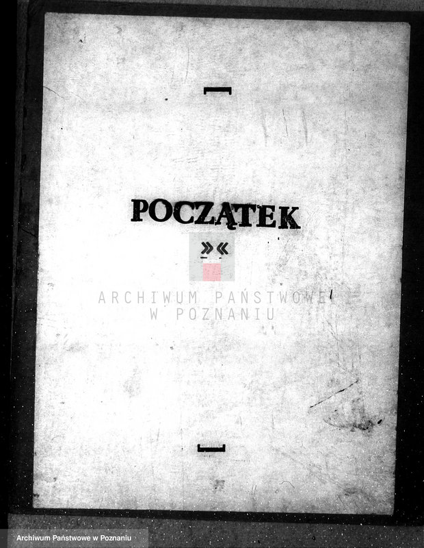 Obraz 3 z jednostki "Majętność leśna Gola w powiecie gostyńskim"