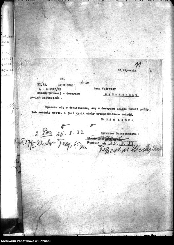 Obraz 15 z jednostki "Zaraza płucna - Międzychód"