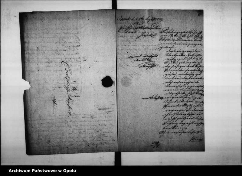 Obraz 11 z jednostki "Acta des Magistrats zu Oppeln wegen Entrichtung der Brückenzoll-Geffälle von dem fremden Mahl-Gässten, so zu den hiesigen Domain-Amts Mühlen fahren."