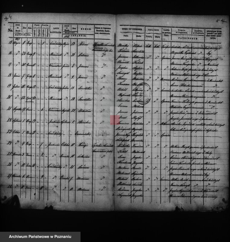 Obraz 5 z jednostki "Duplikat baptisatorum, copulatorum, mortuorum"