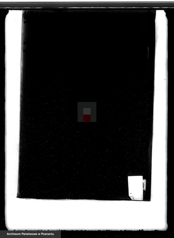 Obraz 4 z jednostki "Lasy miasta Dąbie powiatu kolskiego"