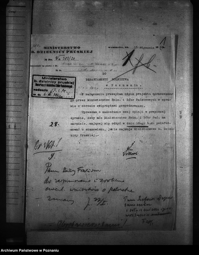 Obraz 5 z jednostki "Obrót zwierzętami [bydłem] ogólne sprawy"