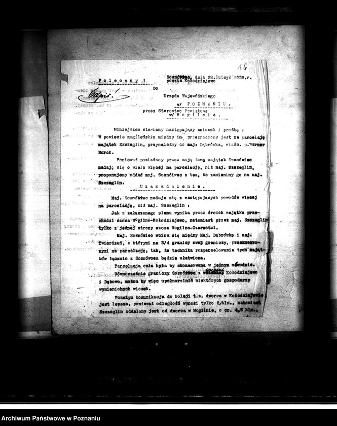 Obraz 20 z jednostki "Majątek Dąbrówka-Szczeglin powiatu mogileńskiego parcelacja"
