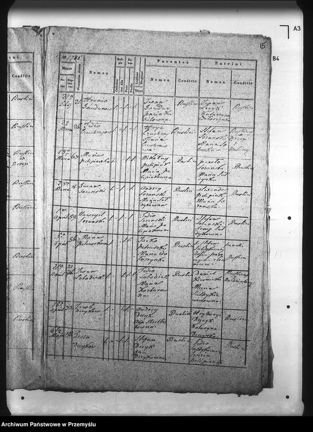 Obraz 19 z jednostki "[Kopie ksiąg metrykalnych parafii Brzegi (dekanat Sambor)]"