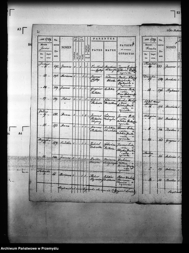 image.from.unit.number "[Kopie ksiąg metrykalnych parafii Majdan Sieniawski z filiami Adamówka, Krasne (dekanat Sieniawa)]"