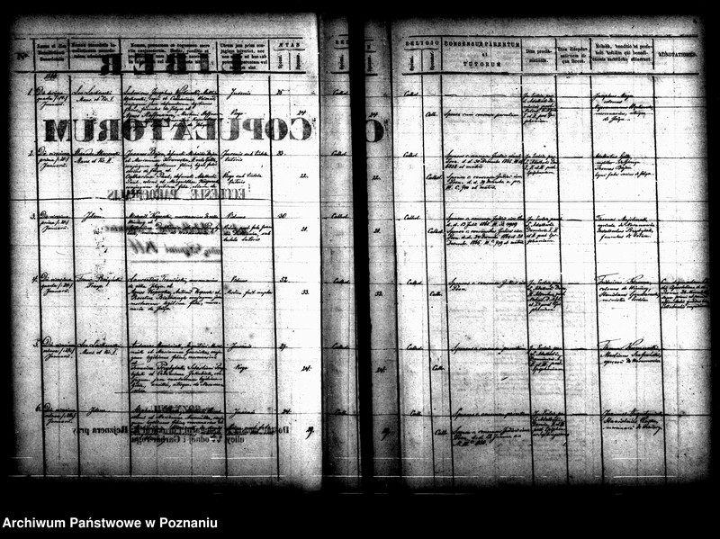 Obraz 6 z jednostki "Księga małżeństw"