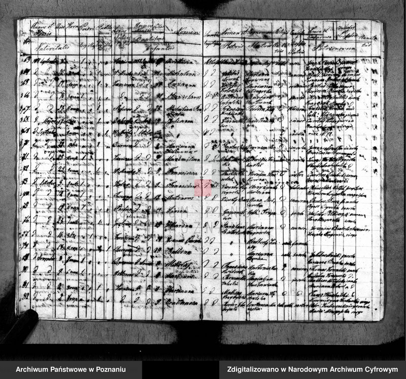 Obraz 11 z jednostki "Duplikat baptisatorum, copulatorum, mortuorum"