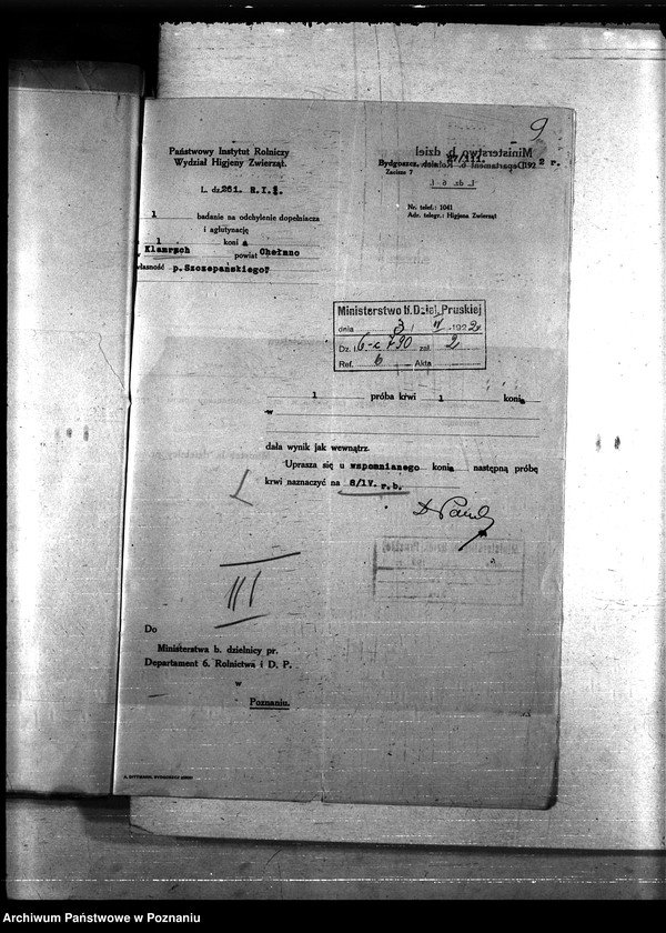 Obraz 13 z jednostki "Nosacizna - Chełmno"