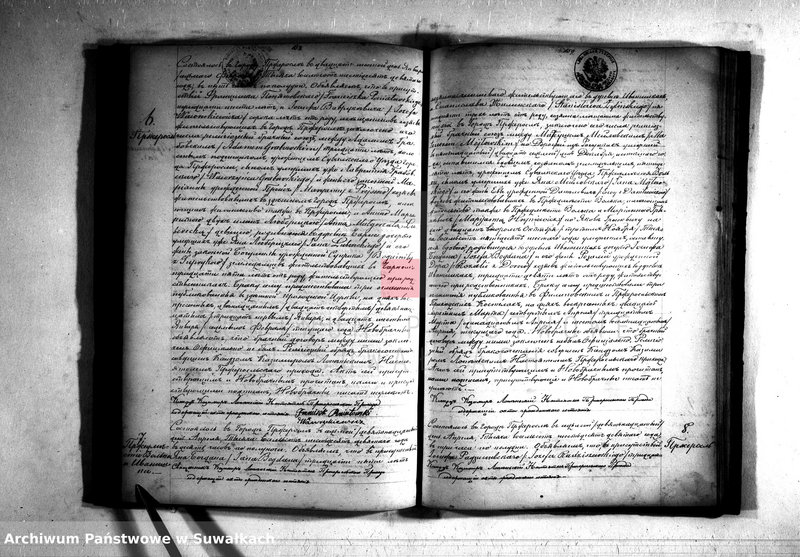 Obraz 6 z jednostki "Kniga nazyvaemyja Duplikat dlja vpisyvanija Aktov o roždenii brakosočetanij i smerti Pržerosl