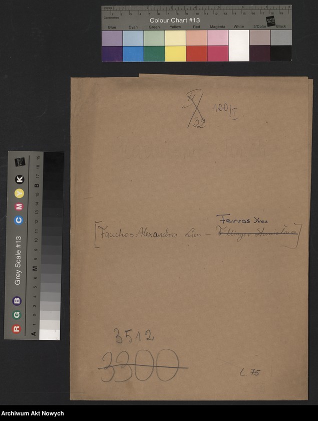 image.from.unit.number "Fauchos Alexandra Lion - Ferras Yves"