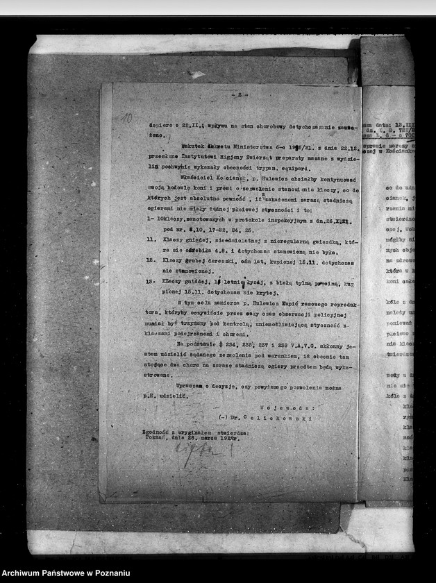 Obraz 15 z jednostki "Zaraza stadnicza"