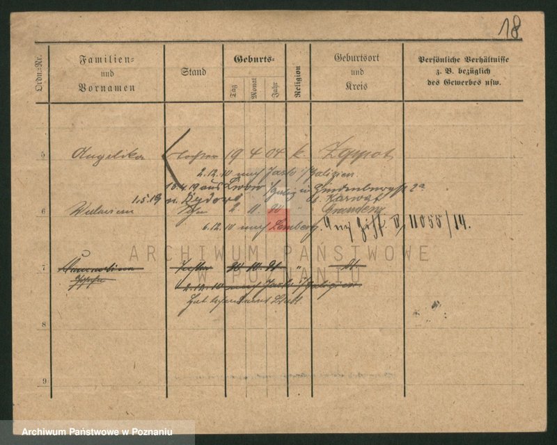 Obraz 18 z jednostki "Palecek - Paluszewski"