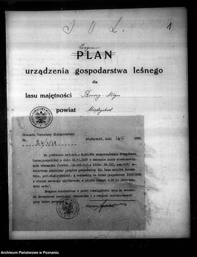 Obraz 5 z jednostki "Program urządzenia gospodarstwa leśnego dla lasu majątku Borowy-Młyn w powiecie międzychodzkim/"