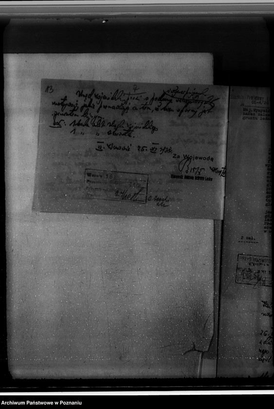 Obraz 17 z jednostki "Gmina Wymysłów powiat koniński /nadzór nad gospodarką leśną/"