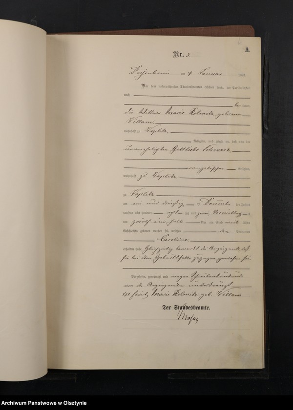 image.from.unit.number "Geburts-Haupt-Register Nr 1 - 246"