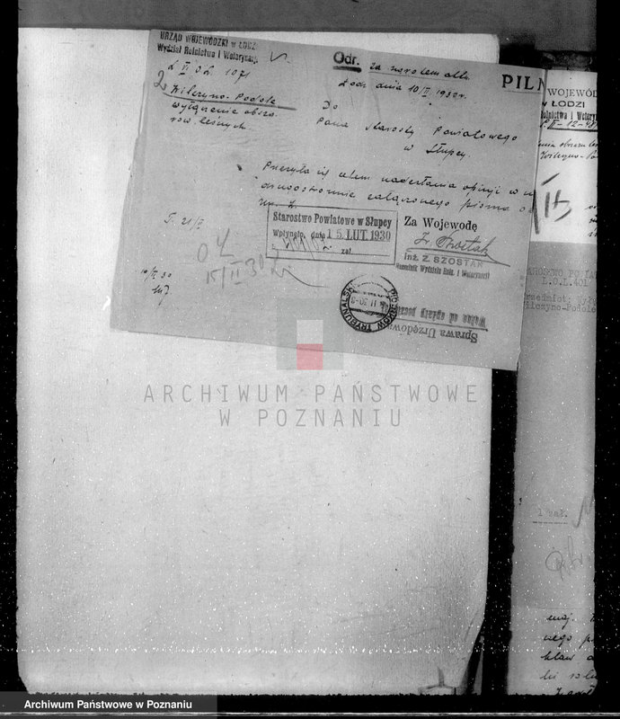 Obraz 7 z jednostki "Ustalenie powierzchni leśnej majątku Wilczyno-Podole powiat słupecki oraz nieprawne wyręby lasu"