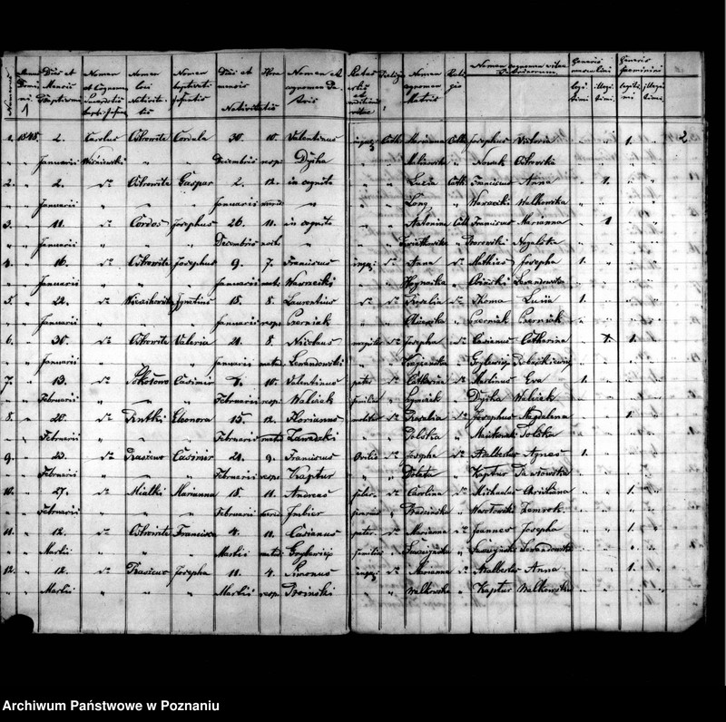 image.from.unit.number "Duplicatus baptisatorum, copulatorum, mortuorum"