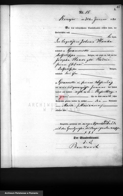 Obraz 17 z jednostki "Księga urodzeń"