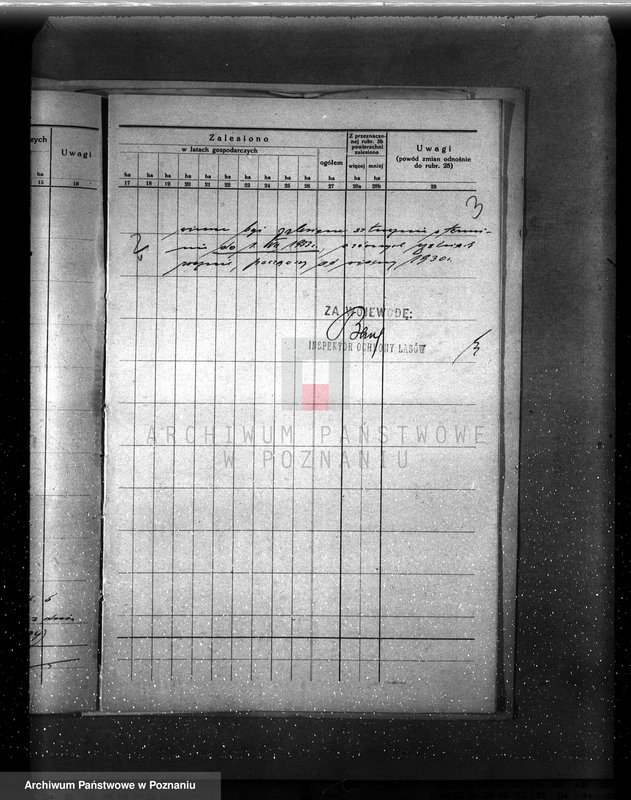 image.from.unit.number "/Szczegółowy plan zalesień i cięć lasu dla majętności Rudki powiat szamotulski 1929-1939"