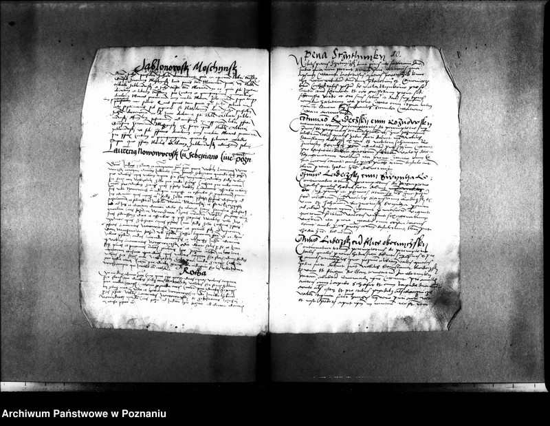 Obraz 16 z jednostki "Inscriptiones, relationes, decreta [inducta]"