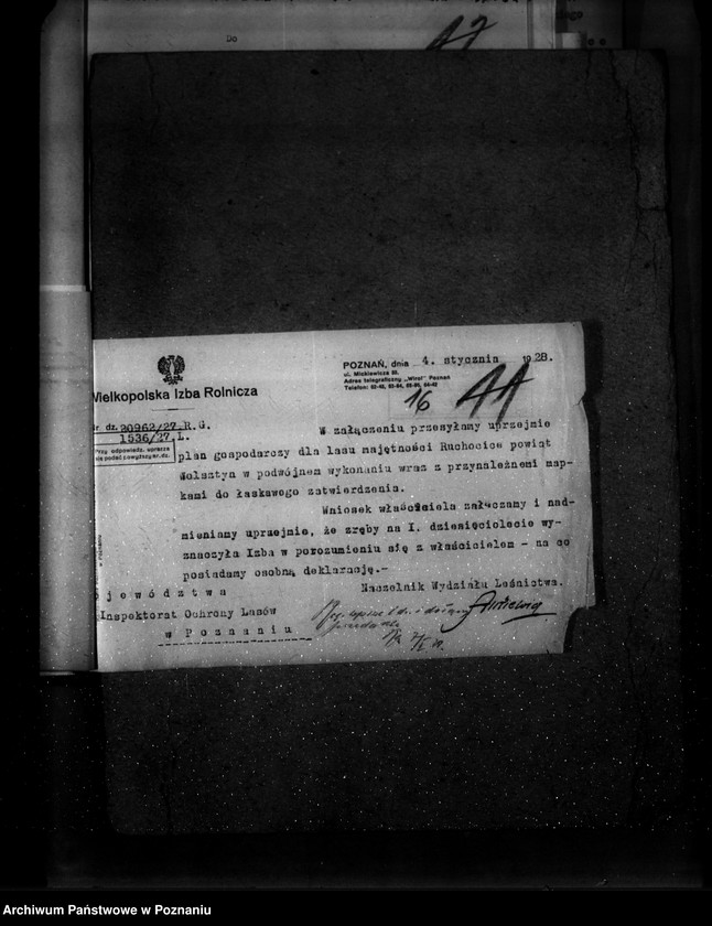 Obraz 20 z jednostki "Majętność leśna Ruchocice powiat wolsztyński"