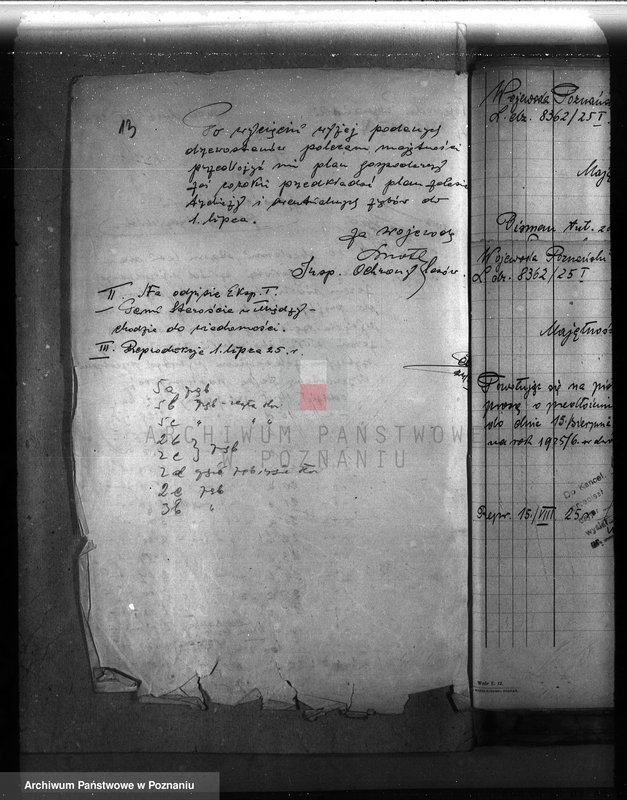 Obraz 18 z jednostki "Majętność leśna Mniszki w powiecie międzychodzkim"