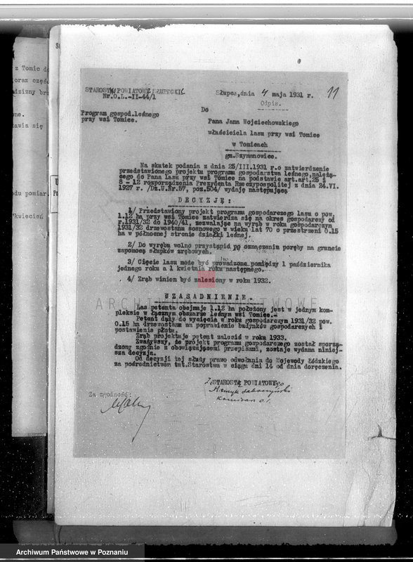 Obraz 15 z jednostki "Gmina Szyminowice powiat koniński /nadzór nad gospodarką leśną/"