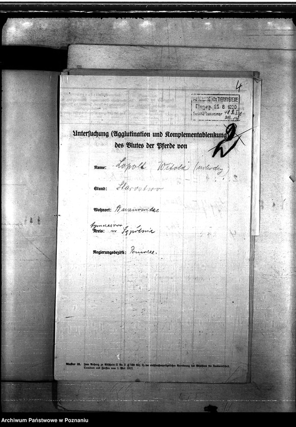 Obraz 8 z jednostki "Nosacizna - Sempolno"