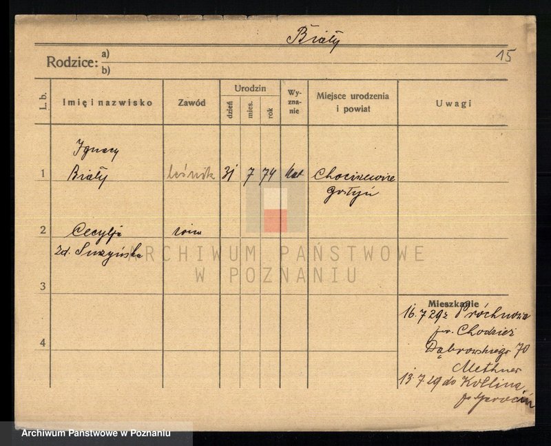 Obraz 19 z jednostki "Biały - Biedowicz"