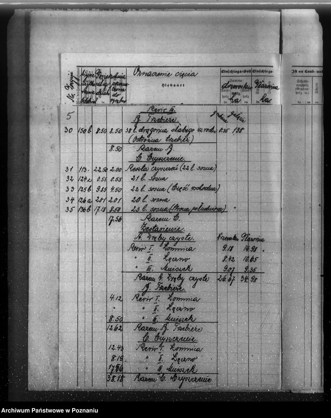 Obraz 9 z jednostki "Plan cięć lasu majętności Łomnica powiat nowotomyski"