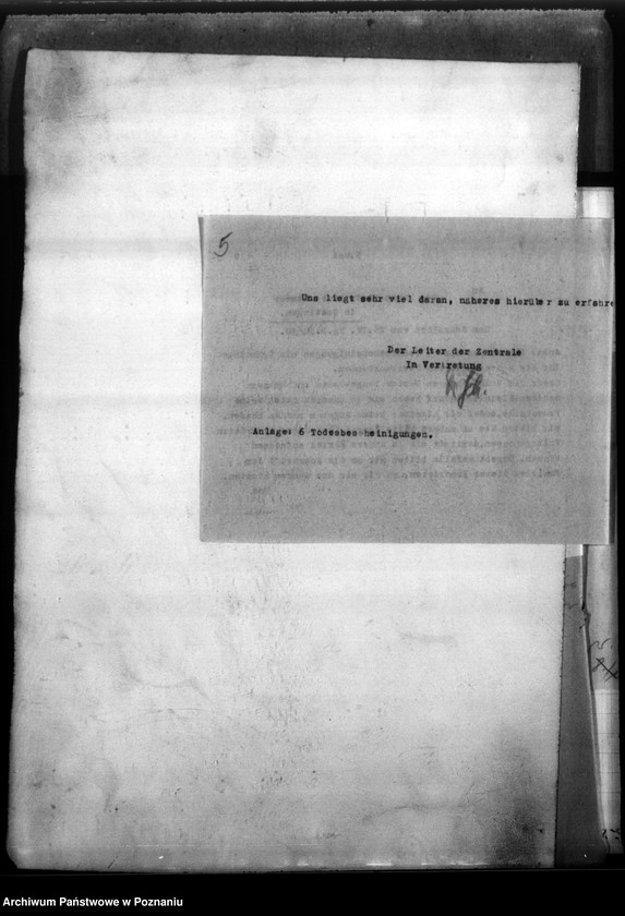 Obraz 9 z jednostki "Gustaw Lange aus Ossowo (powiat Gostyń)"